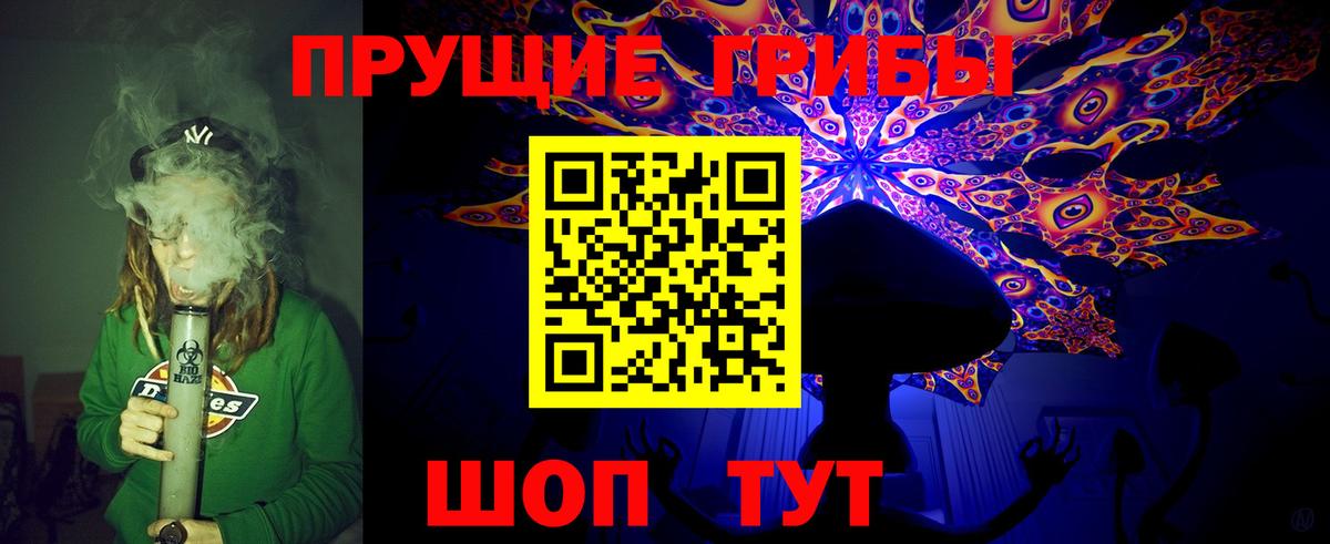 Псилоцибиновые грибы Psilocybine cubensis  Вход с VPN  Гагарин 