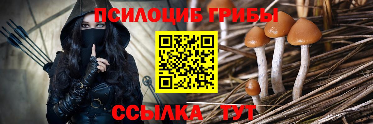 Галлюциногенные грибы Cubensis Гагарин